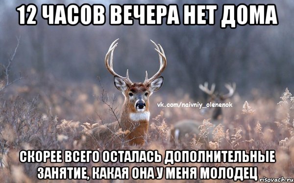 12 часов вечера нет дома скорее всего осталась дополнительные занятие, какая она у меня молодец, Мем  Наивный Олененок