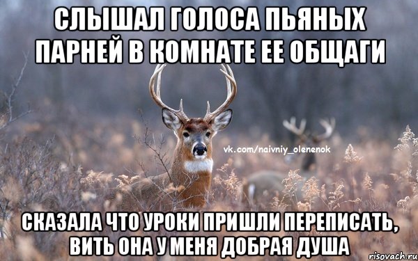 Слышал голоса пьяных парней в комнате ее общаги сказала что уроки пришли переписать, вить она у меня добрая душа, Мем  Наивный Олененок