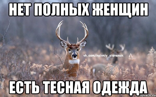 нет полных женщин есть тесная одежда