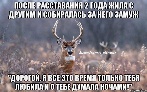 После расставания 2 года жила с другим и собиралась за него замуж "Дорогой, я все это время только тебя любила и о тебе думала ночами!", Мем  Наивный Олененок