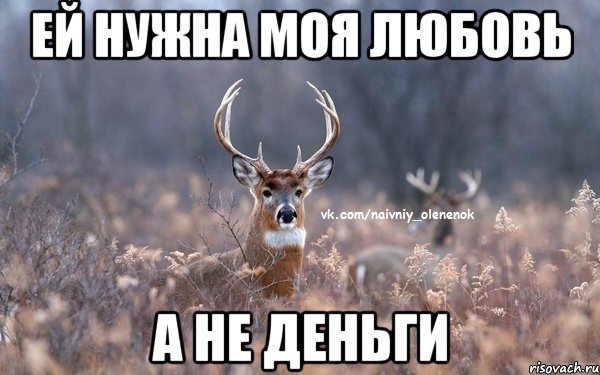 Ей нужна моя любовь а не деньги, Мем  Наивный Олененок