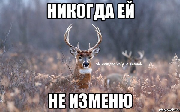 Никогда ей не изменю