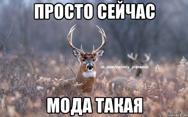 Просто сейчас мода такая