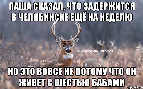 Паша сказал, что задержится в Челябинске ещё на неделю но это вовсе не потому что он живет с шестью бабами