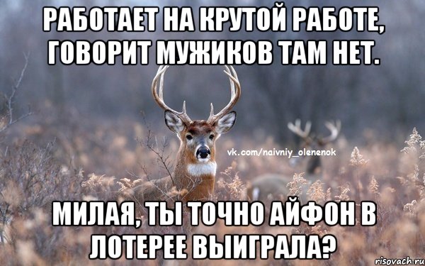 Работает на крутой работе, говорит мужиков там нет. Милая, ты точно айфон в лотерее выиграла?