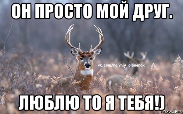 Он просто мой друг. Люблю то я тебя!)