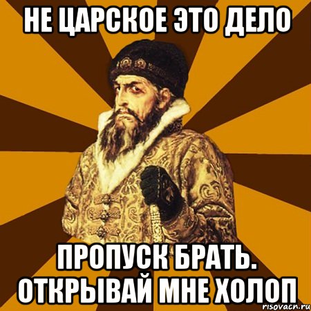 НЕ ЦАРСКОЕ ЭТО ДЕЛО ПРОПУСК БРАТЬ. ОТКРЫВАЙ МНЕ ХОЛОП, Мем Не царское это дело