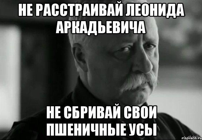 не расстраивай леонида аркадьевича не сбривай свои пшеничные усы, Мем Не расстраивай Леонида Аркадьевича