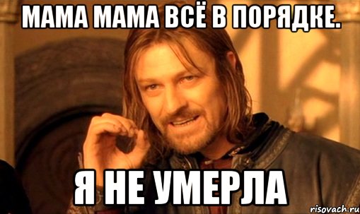 Мама мама всё в порядке. Я не умерла, Мем Нельзя просто так взять и (Боромир мем)