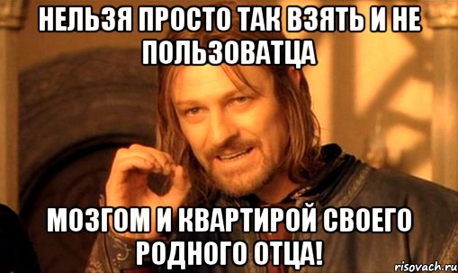 Нельзя просто так взять и не пользоватца мозгом и квартирой своего родного отца!, Мем Нельзя просто так взять и (Боромир мем)