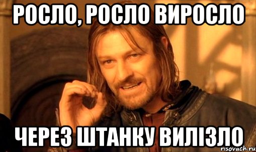 росло, росло виросло через штанку вилізло, Мем Нельзя просто так взять и (Боромир мем)