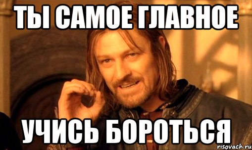 Ты самое главное учись бороться, Мем Нельзя просто так взять и (Боромир мем)