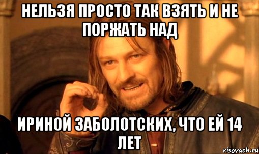 Нельзя просто так взять и не поржать над Ириной Заболотских, что ей 14 лет, Мем Нельзя просто так взять и (Боромир мем)