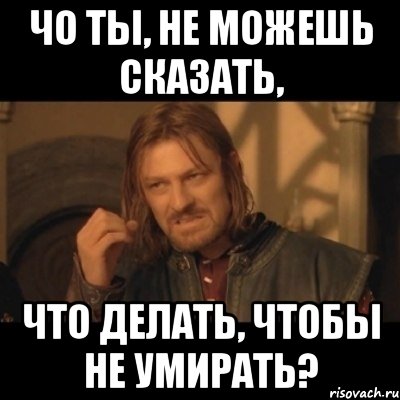 Чо ты, не можешь сказать, Что делать, чтобы не умирать?, Мем Нельзя просто взять