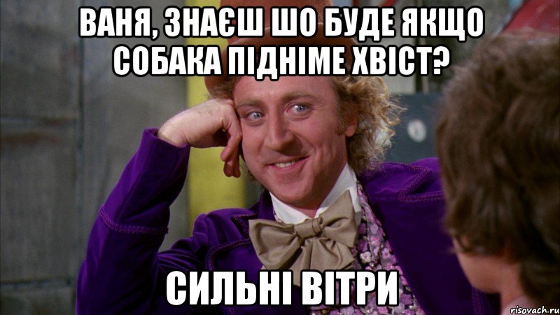 Ваня, знаєш шо буде якщо собака підніме хвіст? Сильні вітри, Мем Ну давай расскажи (Вилли Вонка)