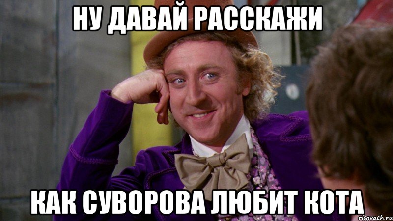 Ну давай расскажи Как Суворова любит кота, Мем Ну давай расскажи (Вилли Вонка)