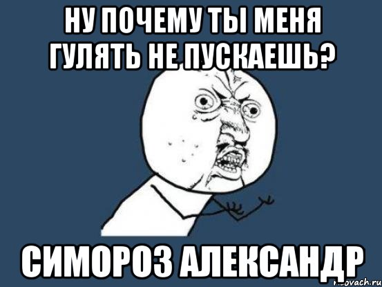 ну почему ты меня гулять не пускаешь? Симороз Александр, Мем Ну почему