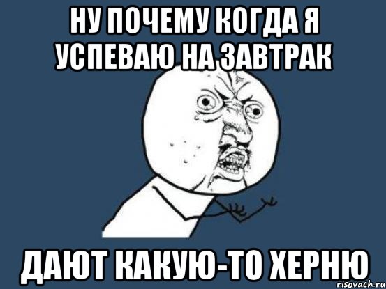 Ну почему когда я успеваю на завтрак дают какую-то херню, Мем Ну почему