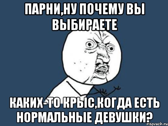 Парни,ну почему вы выбираете каких-то крыс,когда есть нормальные девушки?, Мем Ну почему