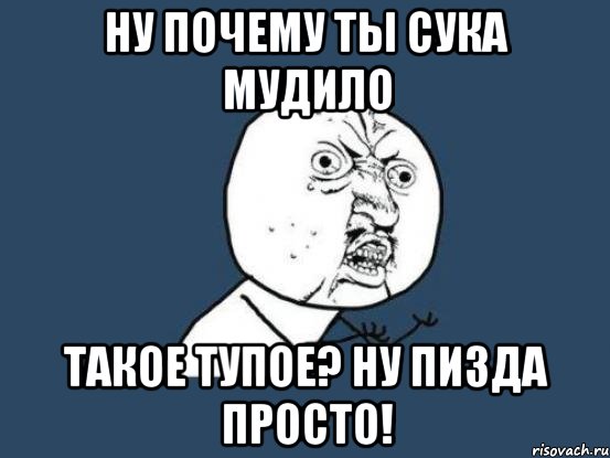 ну почему ты сука мудило такое тупое? ну пизда просто!, Мем Ну почему