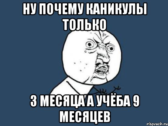 ну почему каникулы только 3 месяца а учёба 9 месяцев, Мем Ну почему