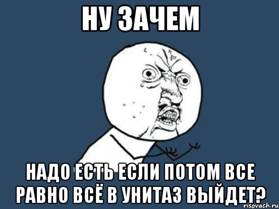 ну зачем надо есть если потом все равно всё в унитаз выйдет?, Мем Ну почему