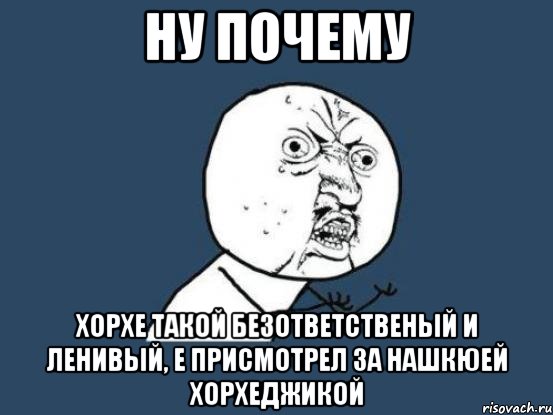 Ну почему Хорхе такой безответственый и ленивый, е присмотрел за нашкюей Хорхеджикой, Мем Ну почему