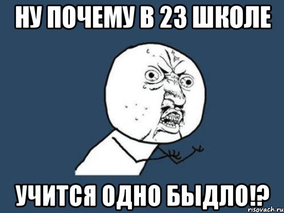 Ну почему в 23 школе учится одно быдло!?, Мем Ну почему