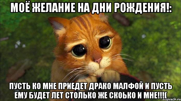 МОЁ ЖЕЛАНИЕ НА ДНИ РОЖДЕНИЯ!: ПУСТЬ КО МНЕ ПРИЕДЕТ ДРАКО МАЛФОЙ И ПУСТЬ ЕМУ БУДЕТ ЛЕТ СТОЛЬКО ЖЕ СКОЬКО И МНЕ!!!(, Мем кот из шрека