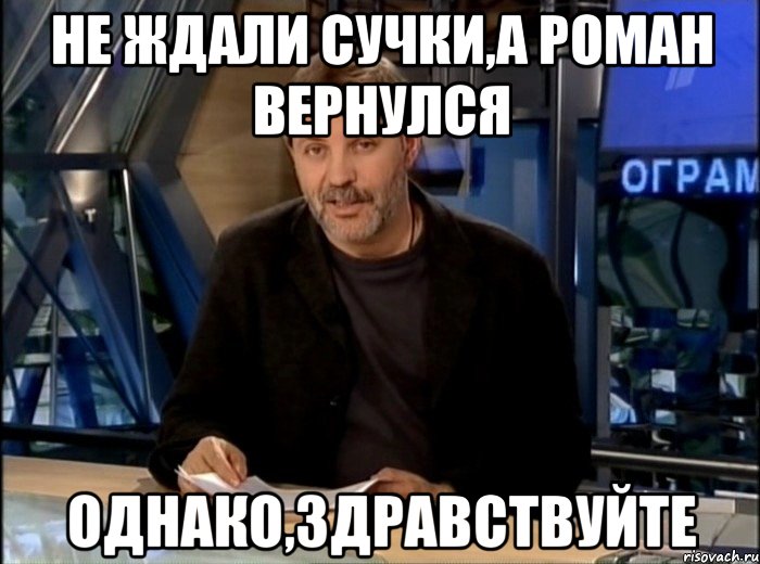 Не ждали сучки,а РОМАН вернулся Однако,здравствуйте, Мем Однако Здравствуйте