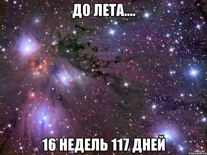 До лета.... 16 недель 117 дней, Мем Космос