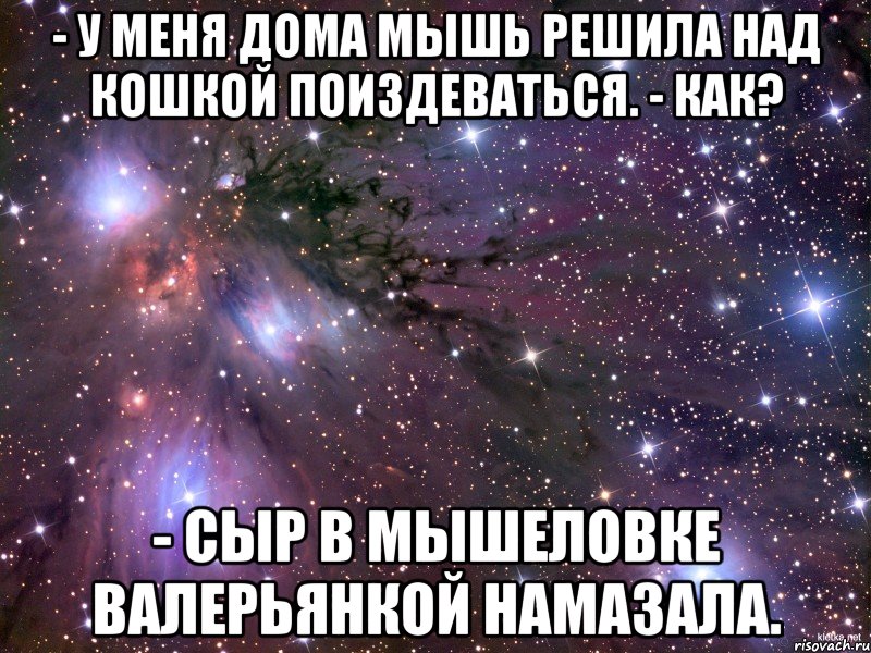 - У меня дома мышь решила над кошкой поиздеваться. - Как? - Сыр в мышеловке валерьянкой намазала., Мем Космос