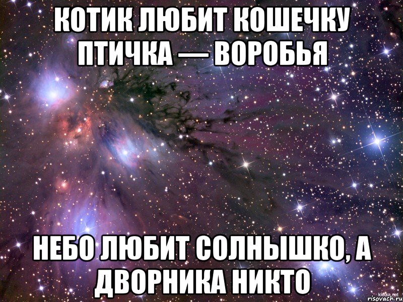 котик любит кошечку птичка — воробья НЕБО ЛЮБИТ СОЛНЫШКО, а дворника никто, Мем Космос