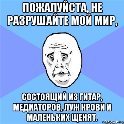 Пожалуйста, не разрушайте мой мир, состоящий из гитар, медиаторов, луж крови и маленьких щенят., Мем Okay face