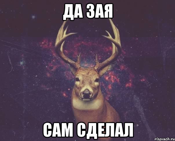 Да зая сам сделал, Мем  олень наивный