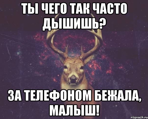 ты чего так часто дышишь? за телефоном бежала, малыш!