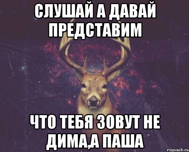 слушай а давай представим что тебя зовут не дима,а паша, Мем  олень наивный