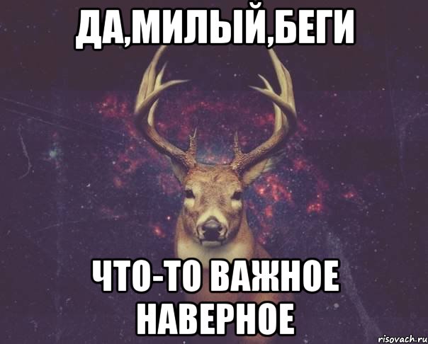 ДА,Милый,Беги Что-то важное наверное, Мем  олень наивный