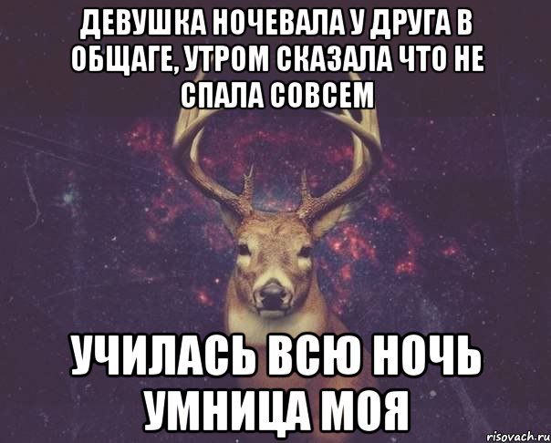 Девушка ночевала у друга в общаге, утром сказала что не спала совсем Училась всю ночь умница моя, Мем  олень наивный