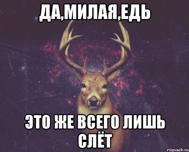 Да,Милая,едь это же всего лишь слёт, Мем  олень наивный