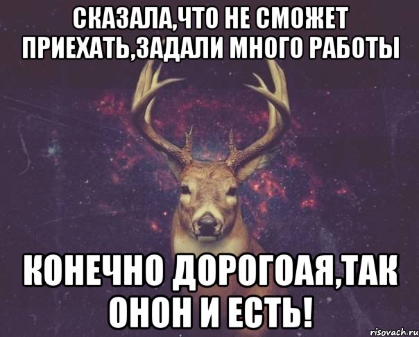 Сказала,что не сможет приехать,задали много работы конечно дорогоая,так онон и есть!, Мем  олень наивный