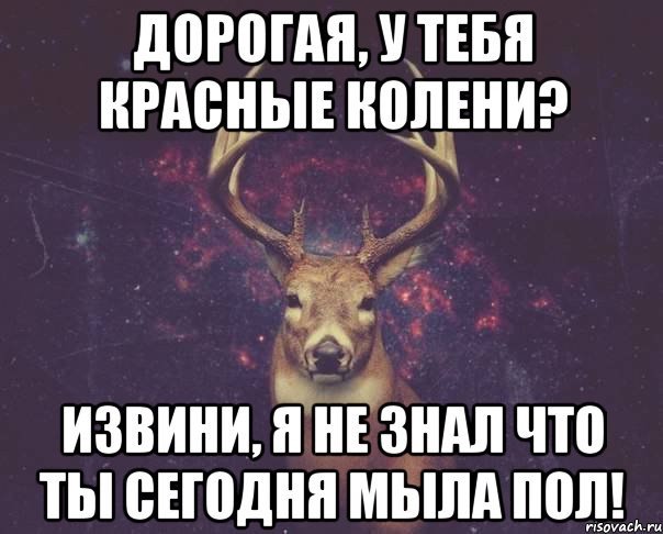 Дорогая, у тебя красные колени? Извини, я не знал что ты сегодня мыла пол!, Мем  олень наивный