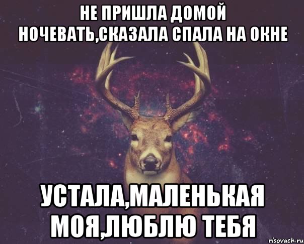 не пришла домой ночевать,сказала спала на окне устала,маленькая моя,люблю тебя, Мем  олень наивный