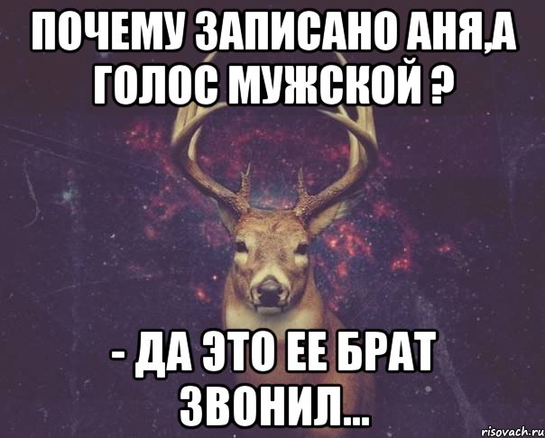 Почему записано Аня,а голос мужской ? - Да это ее брат звонил..., Мем  олень наивный