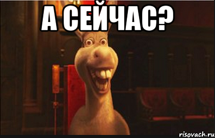 А сейчас? , Мем Осел из Шрека