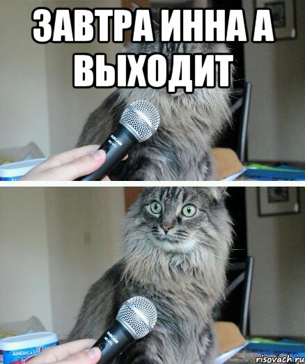 Завтра Инна А выходит , Комикс  кот с микрофоном