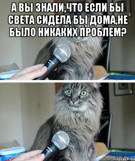 А вы знали,что если бы Света сидела бы дома,не было никаких проблем? , Комикс  кот с микрофоном