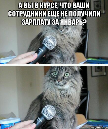 А вы в курсе, что ваши сотрудники еще не получили зарплату за январь? , Комикс  кот с микрофоном