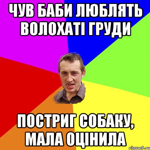 чув баби люблять волохаті груди постриг собаку, мала оцінила, Мем Чоткий паца