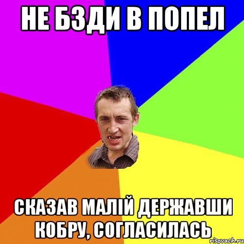 Не бзди в попел сказав малій державши кобру, согласилась, Мем Чоткий паца